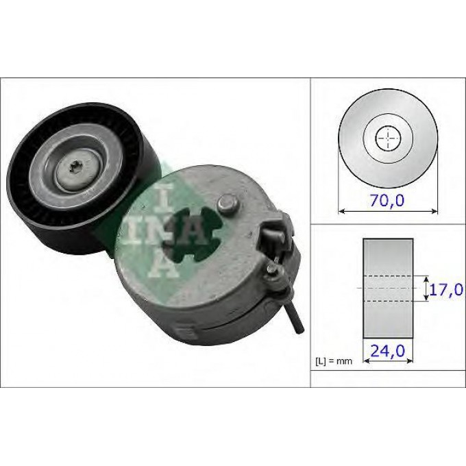 Натяжитель ремня приводного INA 534033310